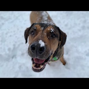 Meet your Posher, Korry